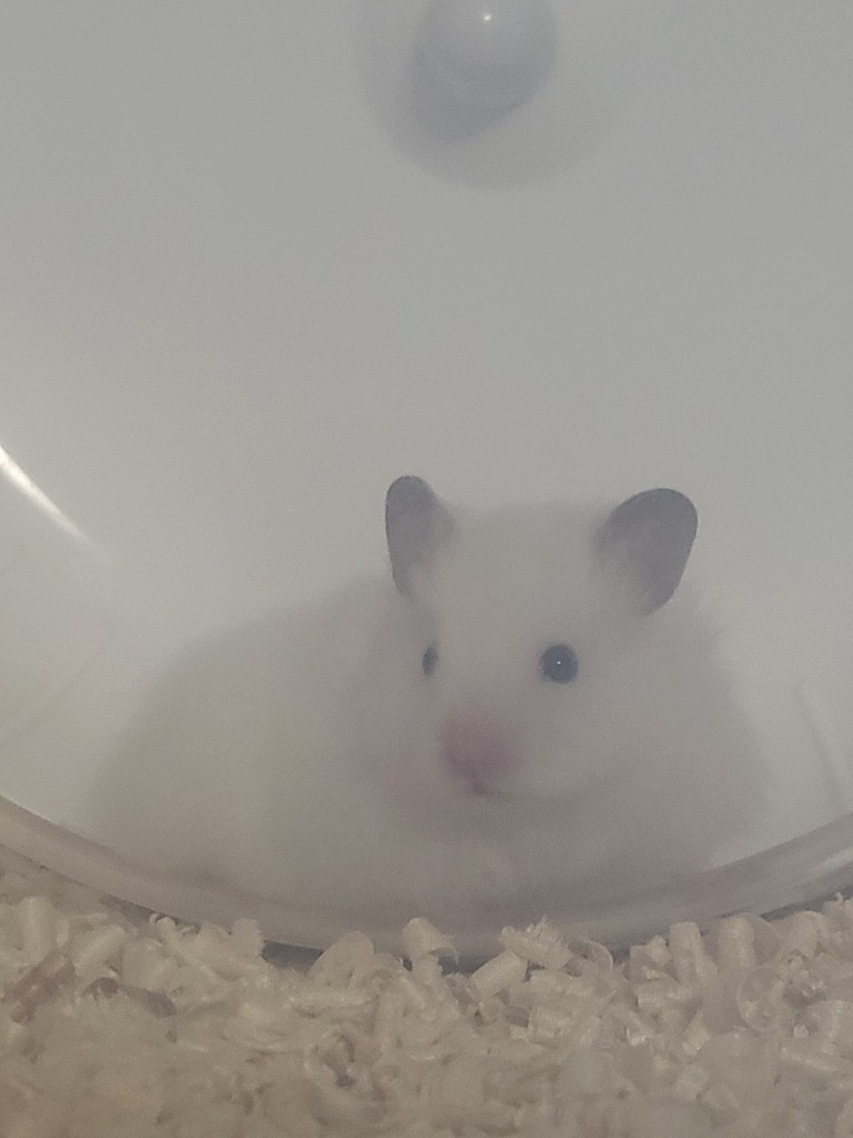 이미지