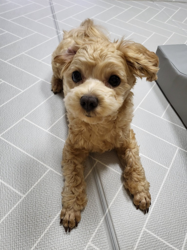 이미지