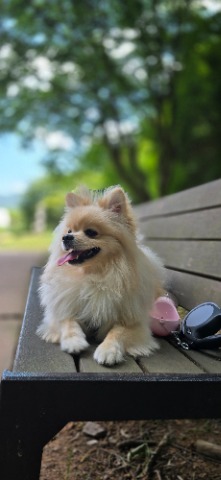 프로필 이미지