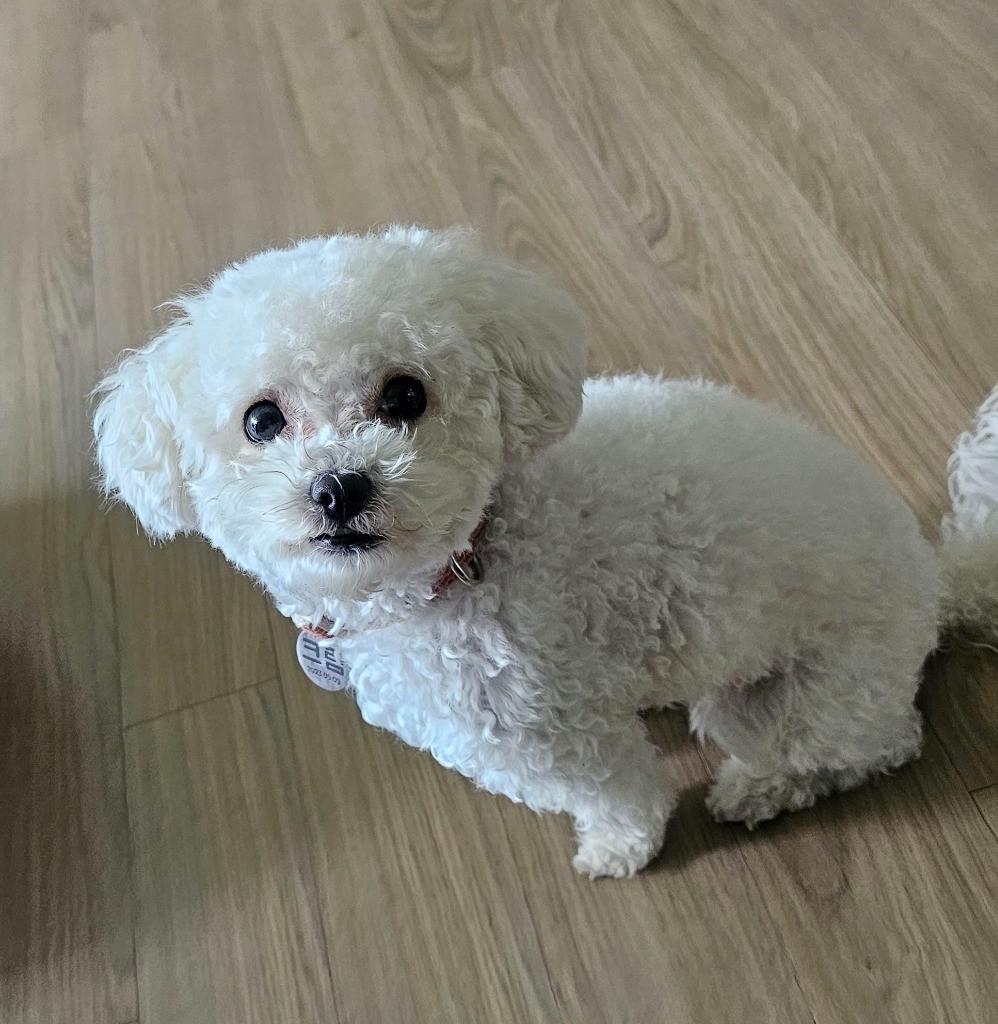 이미지