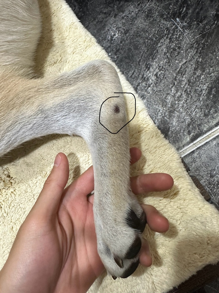 이미지