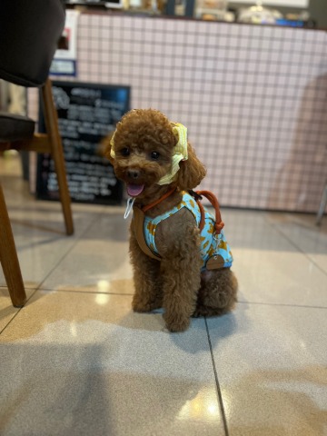 프로필 이미지