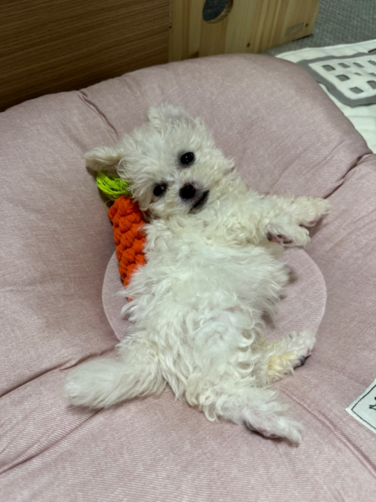 이미지