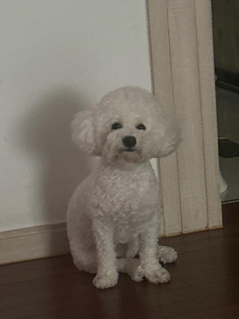 이미지