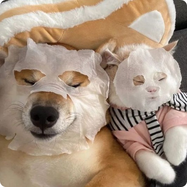 이미지