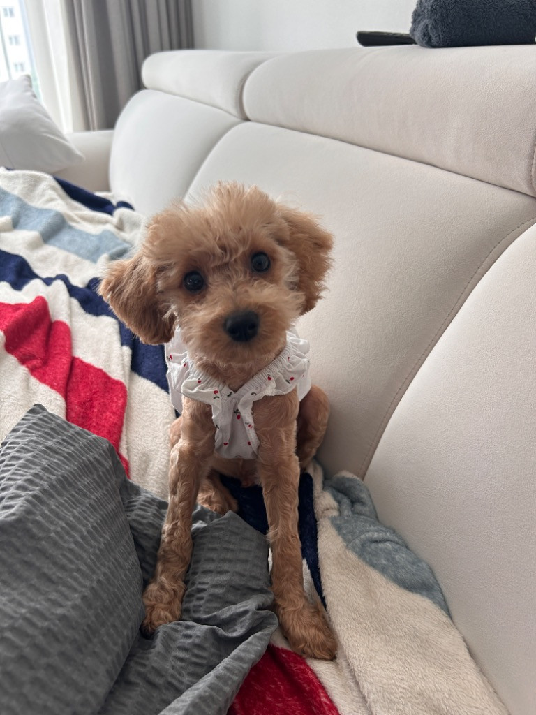 이미지