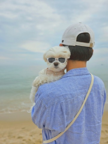 프로필 이미지