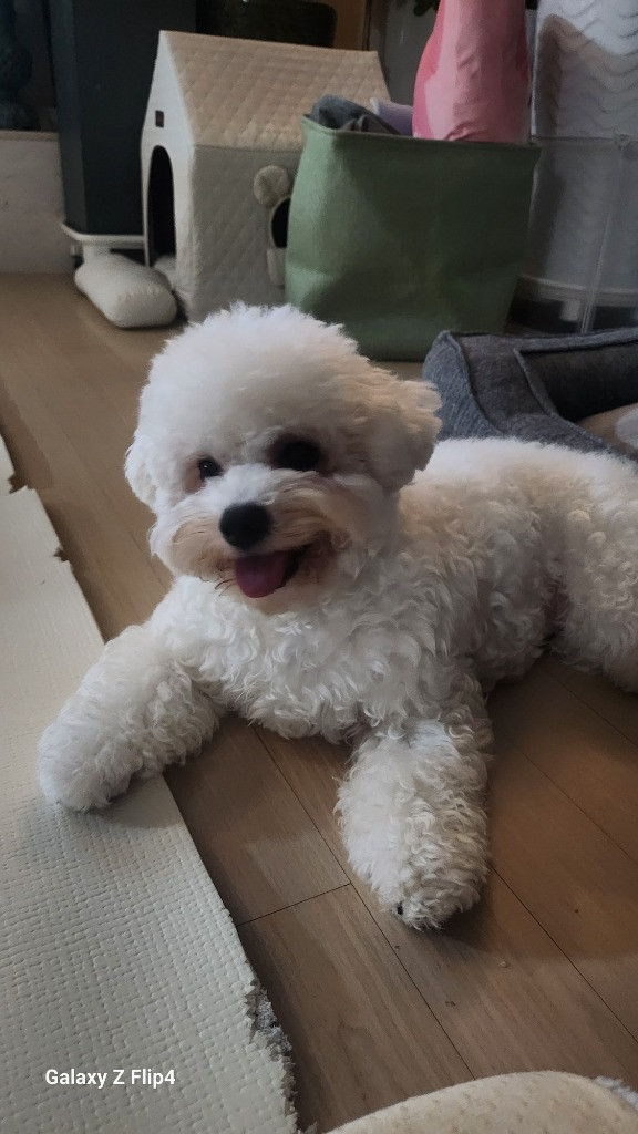 이미지