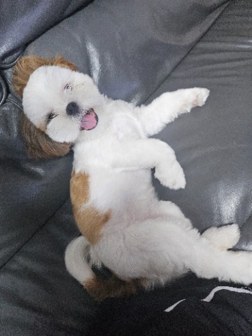 프로필 이미지