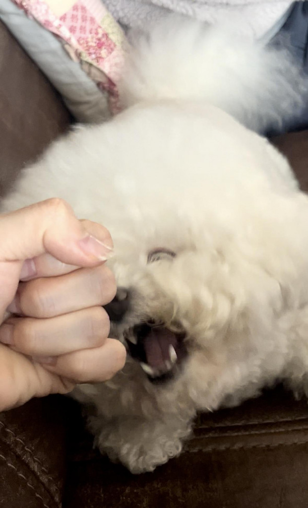 댓글 이미지