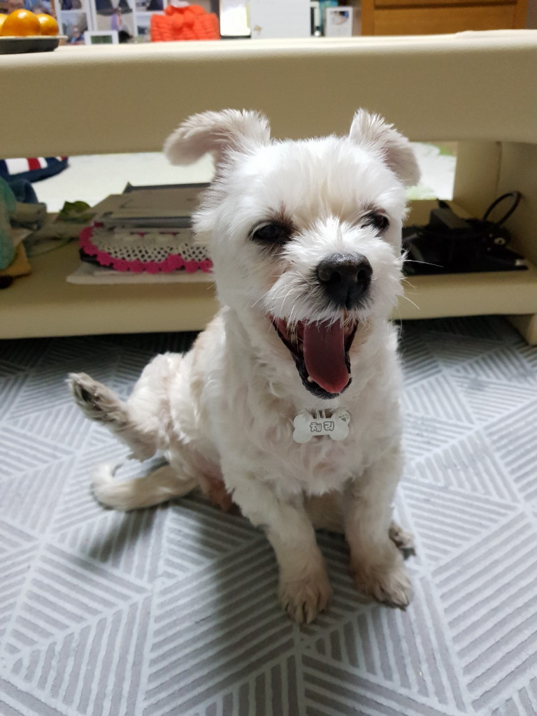 댓글 이미지