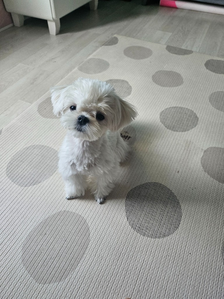 이미지
