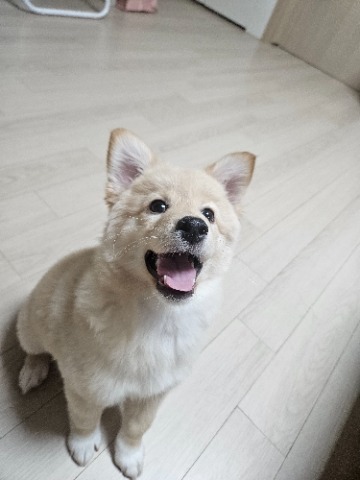 프로필 이미지