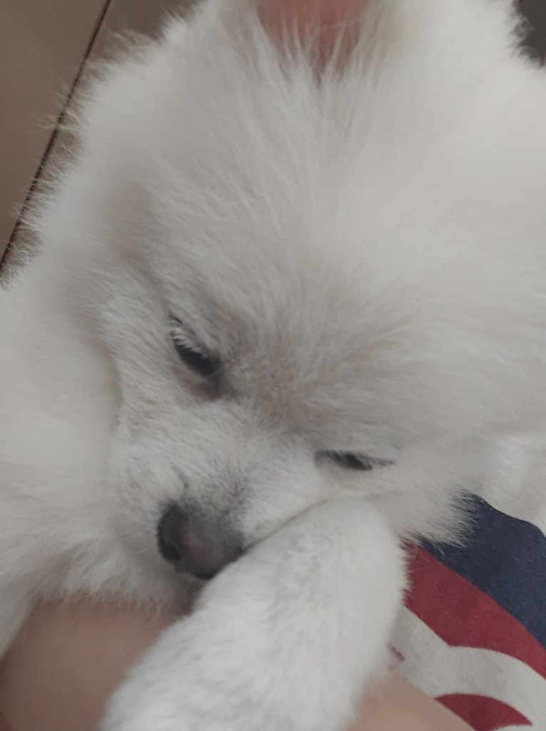 이미지
