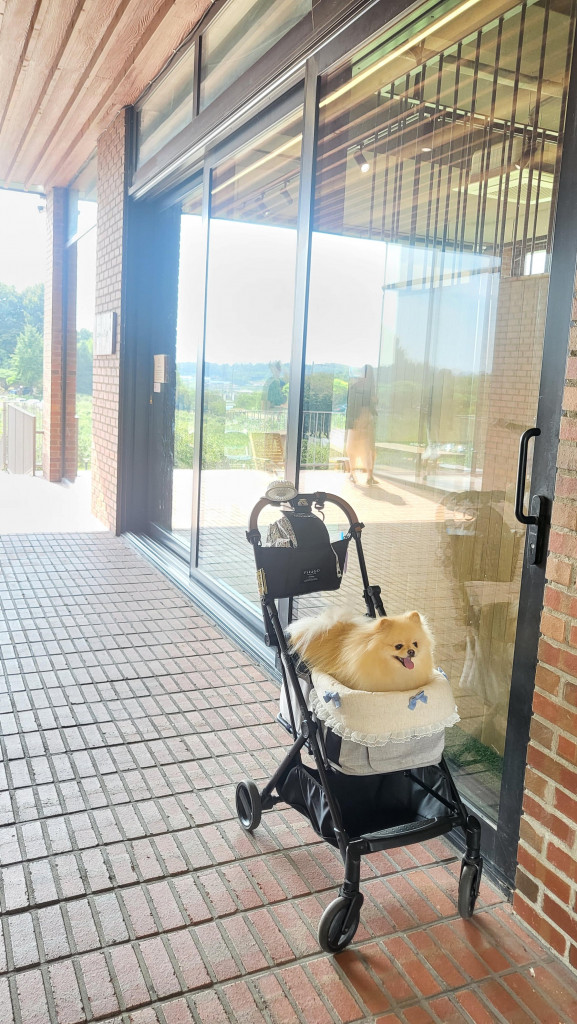 댓글 이미지