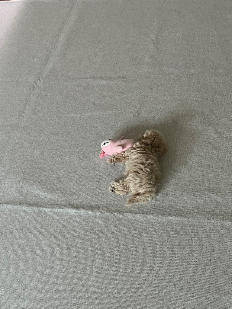 이미지