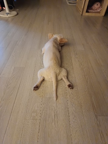 프로필 이미지