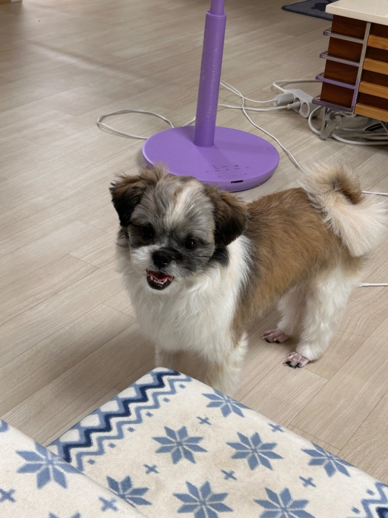 이미지