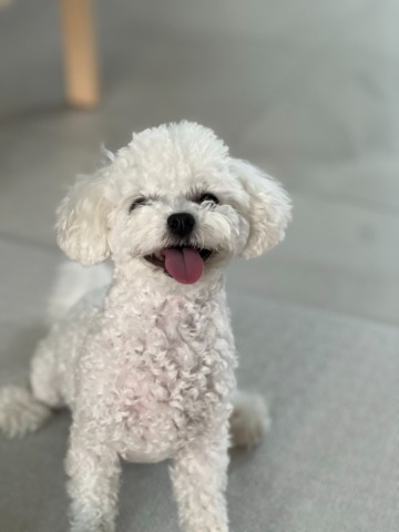 프로필 이미지