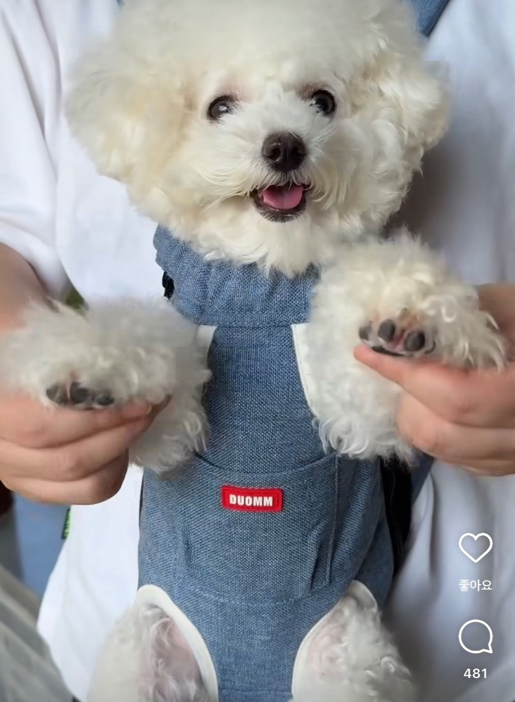 이미지