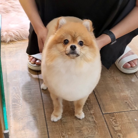 프로필 이미지