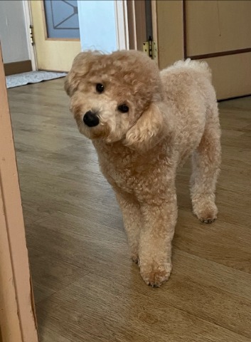 프로필 이미지