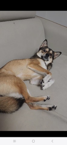 프로필 이미지