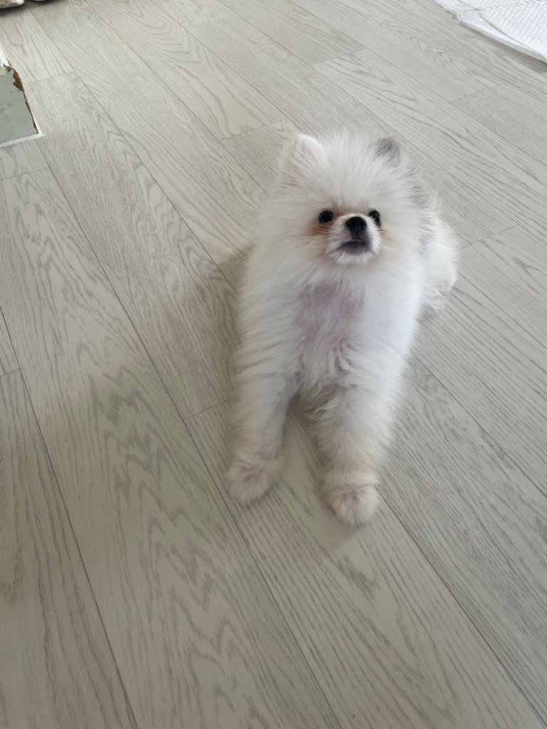 이미지