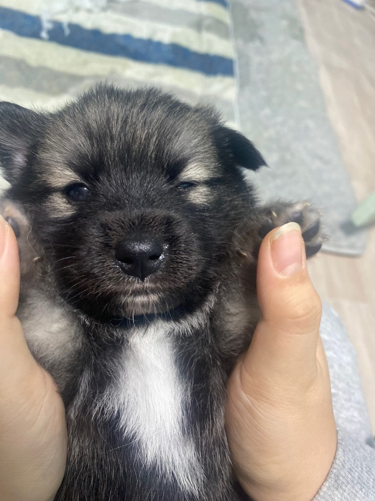 이미지