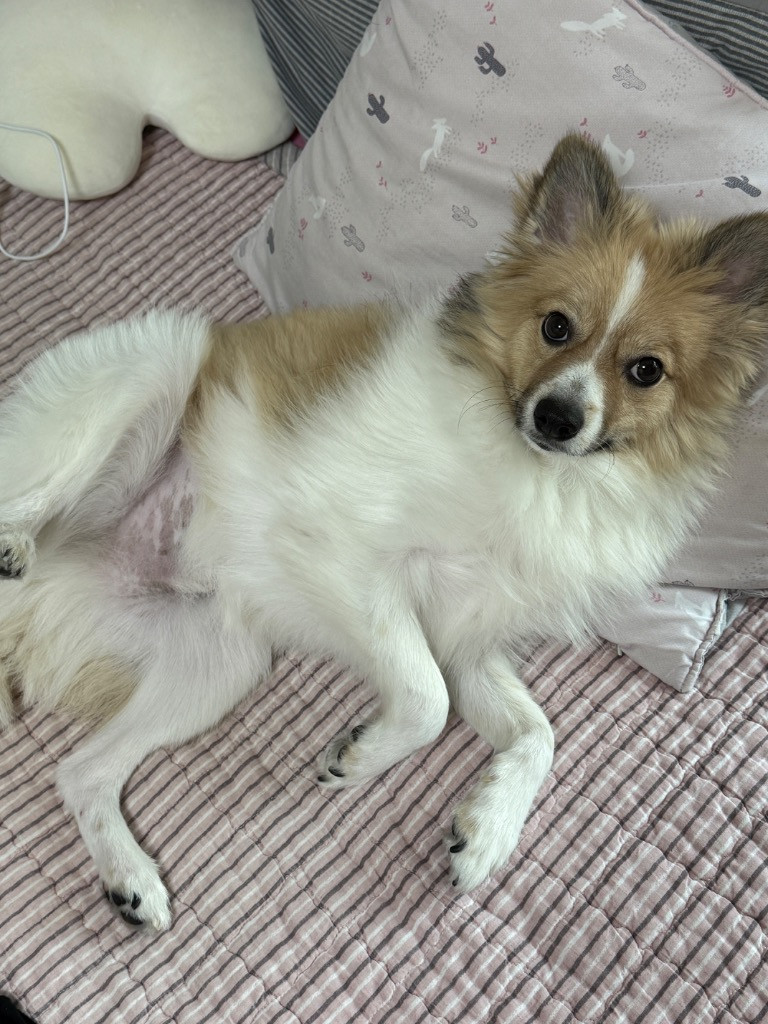 이미지