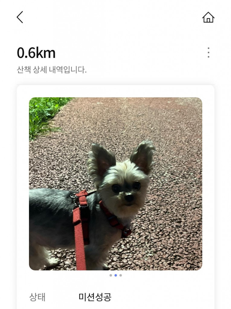 댓글 이미지