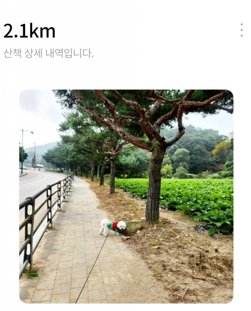 댓글 이미지