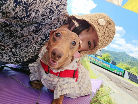 프로필 이미지