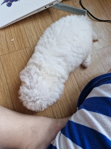 프로필 이미지