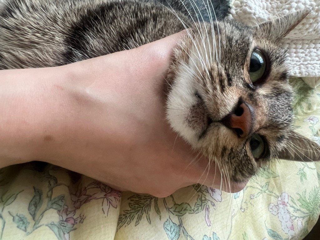 이미지