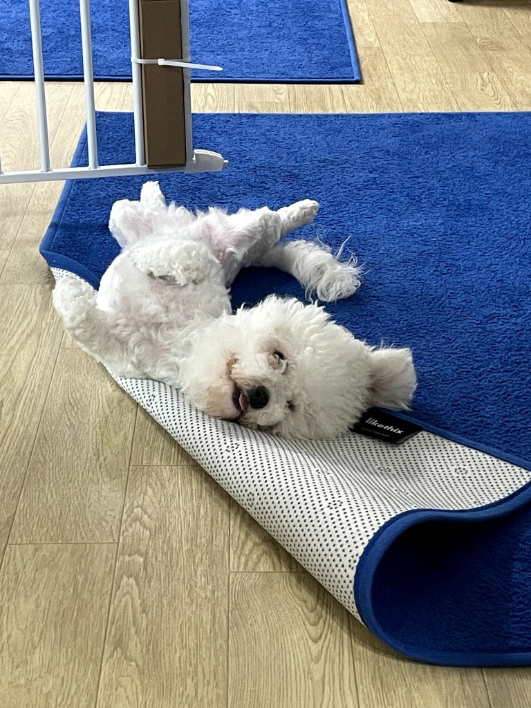 이미지