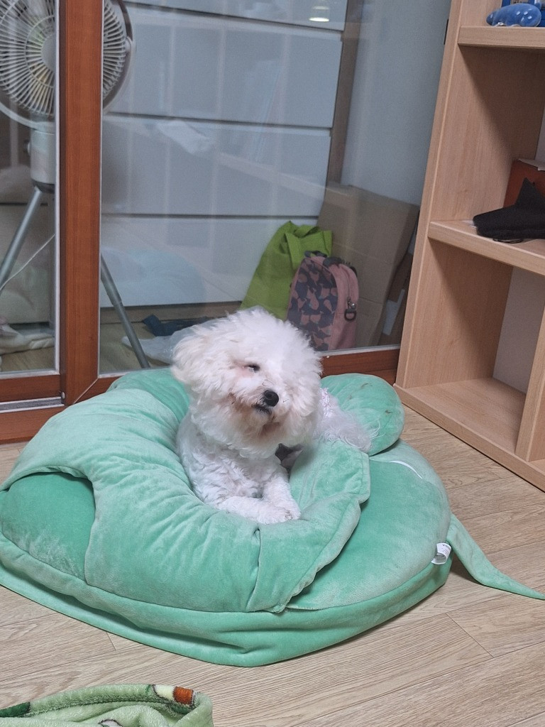 이미지