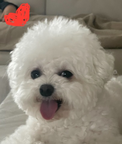 프로필 이미지
