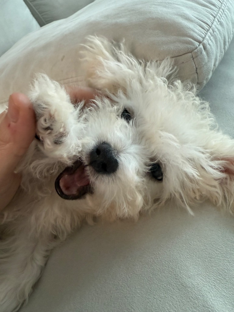 이미지