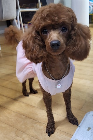 프로필 이미지