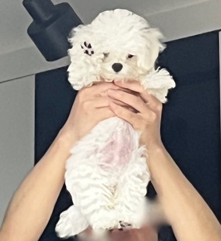 프로필 이미지