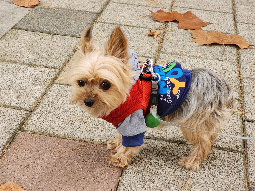 이미지