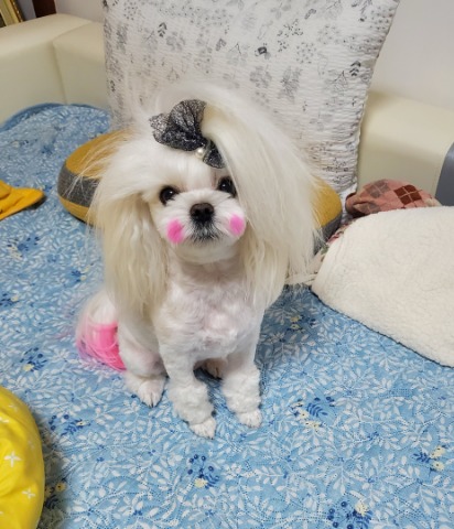 프로필 이미지