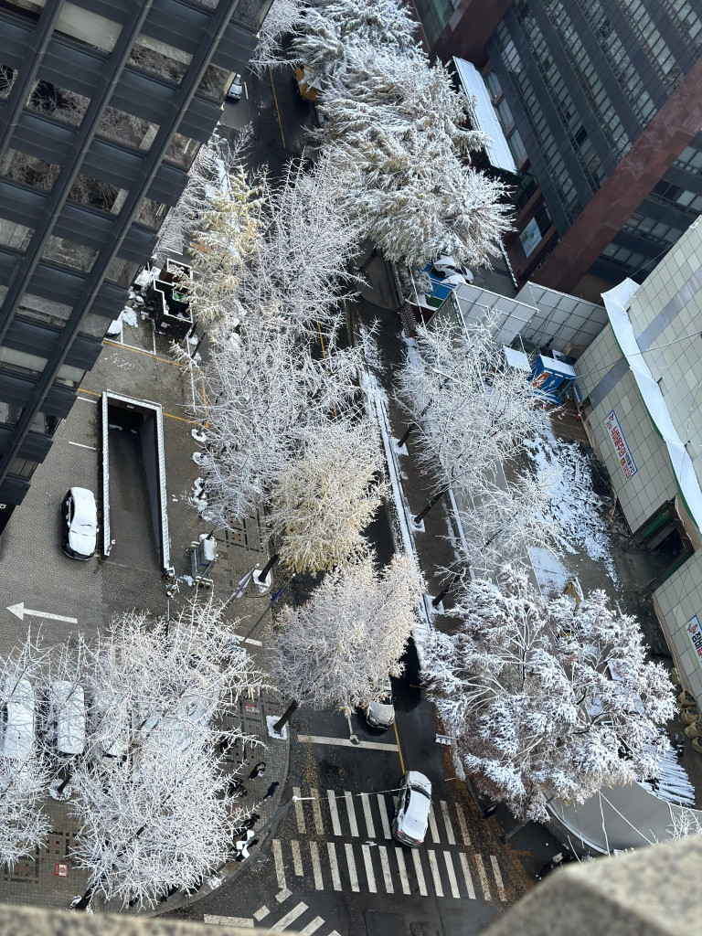 댓글 이미지