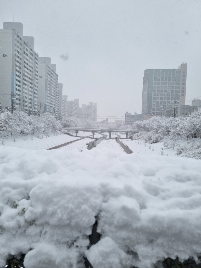댓글 이미지