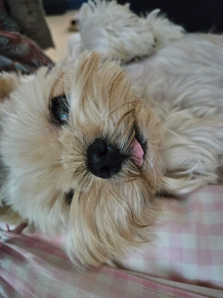 이미지