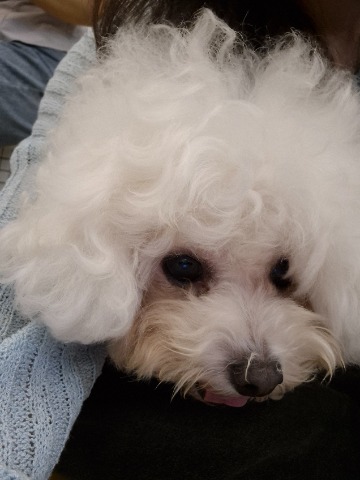 프로필 이미지