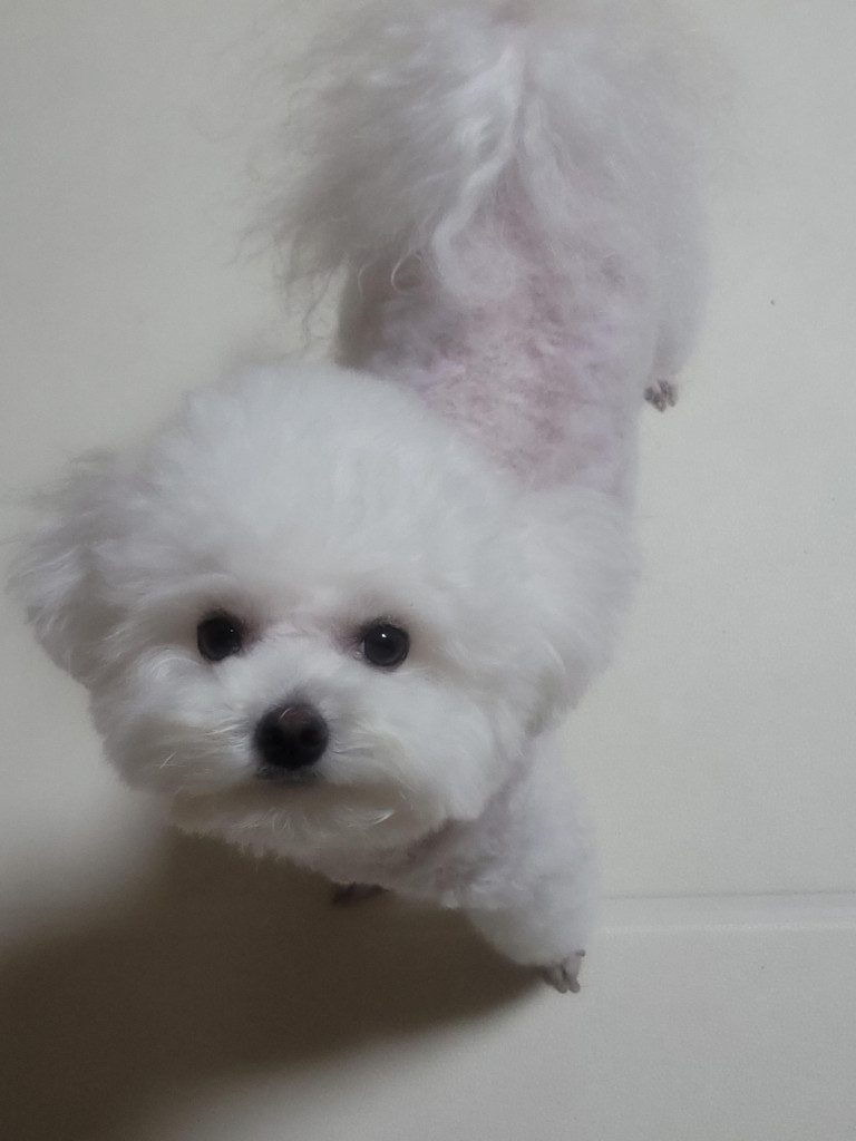 댓글 이미지