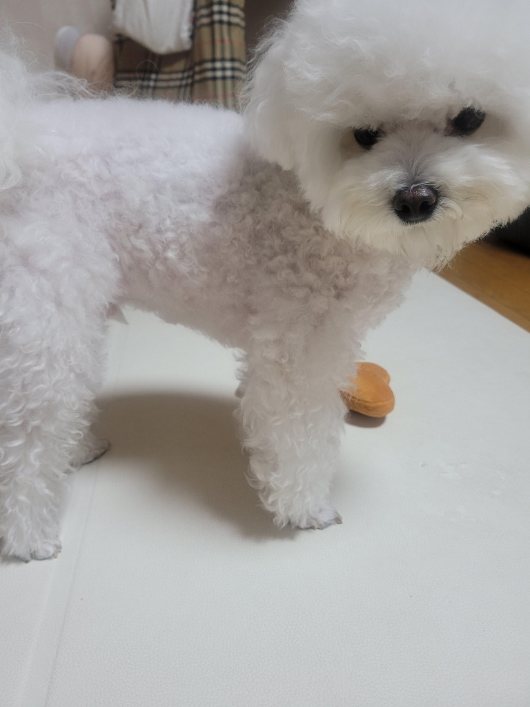 댓글 이미지