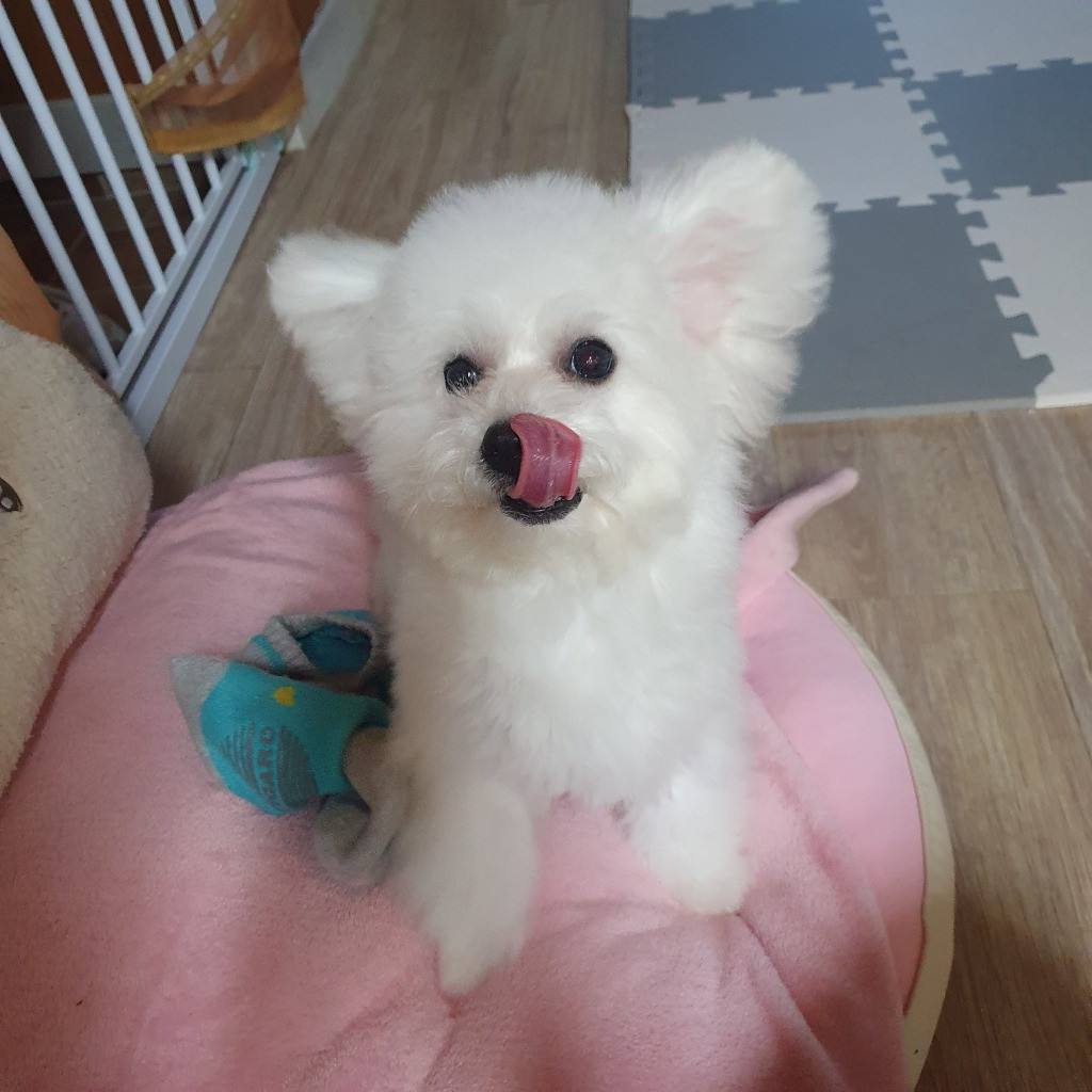 이미지
